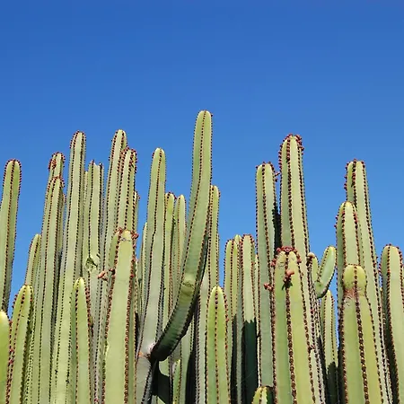 Kaiman 41 By Villagrancanaria Villa *